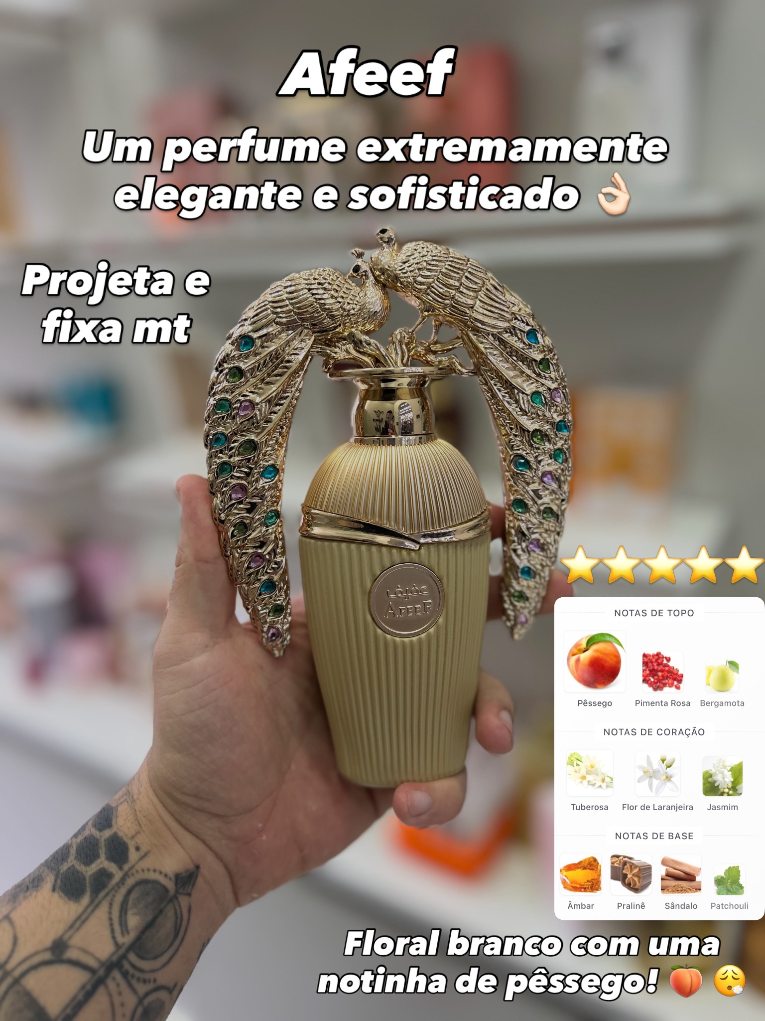 C01, imagem 2