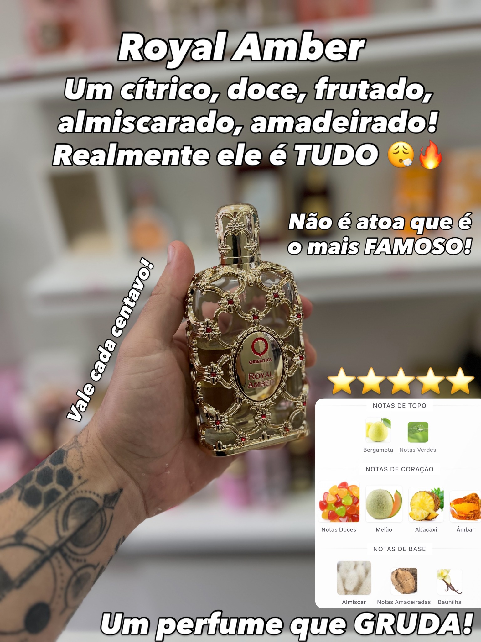 C01, imagem 5