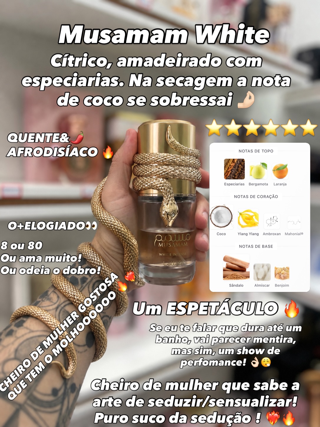 C01, imagem 9