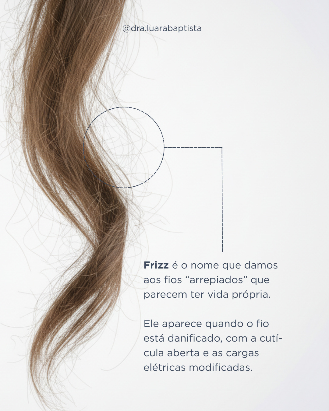 C09, imagem 2