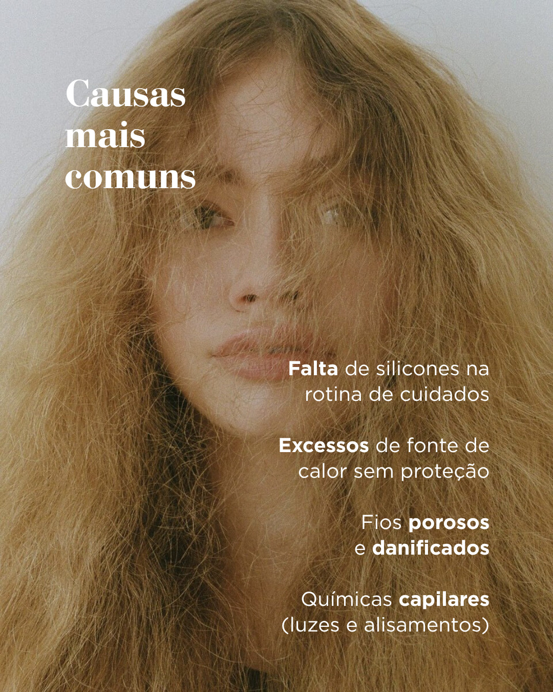 C09, imagem 3